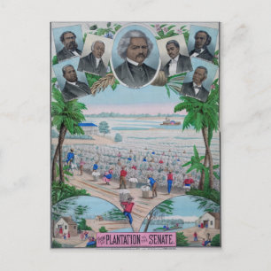 From Plantation To The Senate Postcard