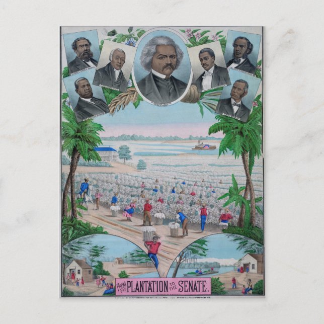 From Plantation To The Senate Postcard (Front)