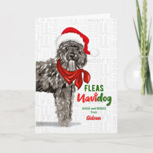 from the Bouvier des Flandres Dog Christmas Holiday Card