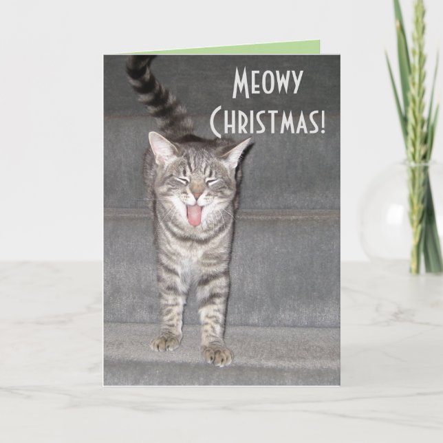 From the Cat Christmas Card (Front)