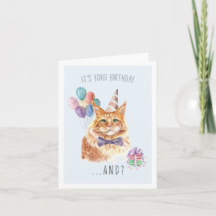 From the Cat Cute Kitten Birthday Card