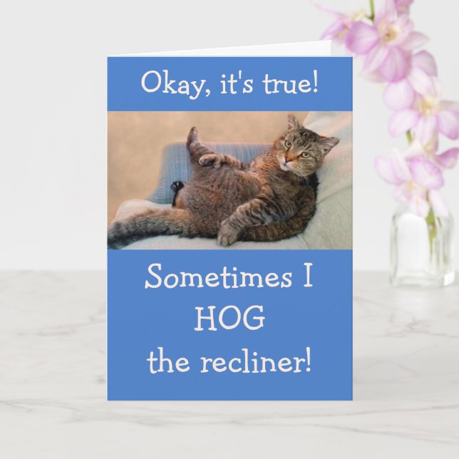 From The Cat Funny Silly Birthday Card (Orchid)