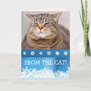 FROM THE CAT Meowy Custom Christmas Holiday Card