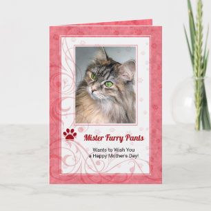 From the Cat Rose Coloured Mother's Day Photo Card