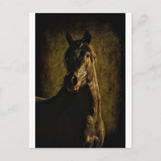 From the Darkness Postcard