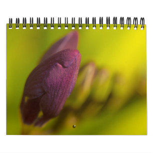 From the earth abundant calendar