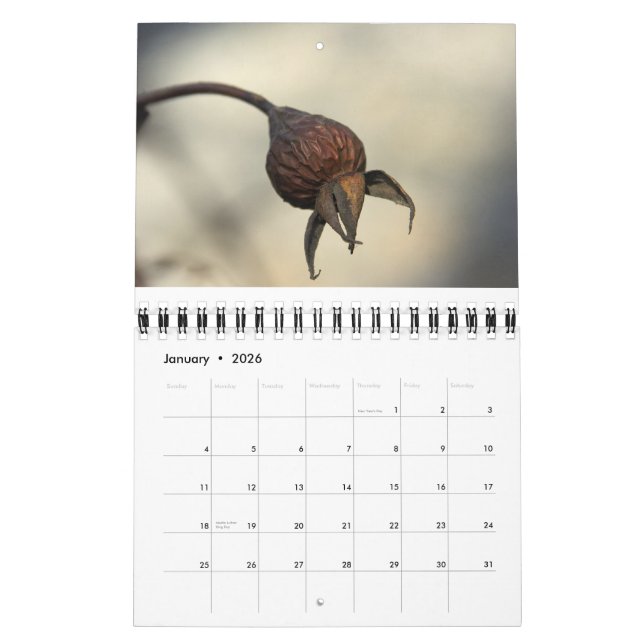 From the earth abundant calendar (Jan 2026)