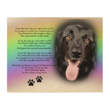 'From the first day you came into my life' ~ Dog
