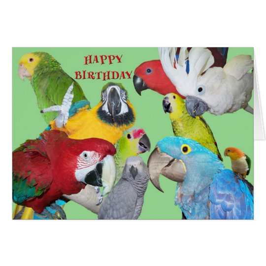 From the Flock Birthday Card