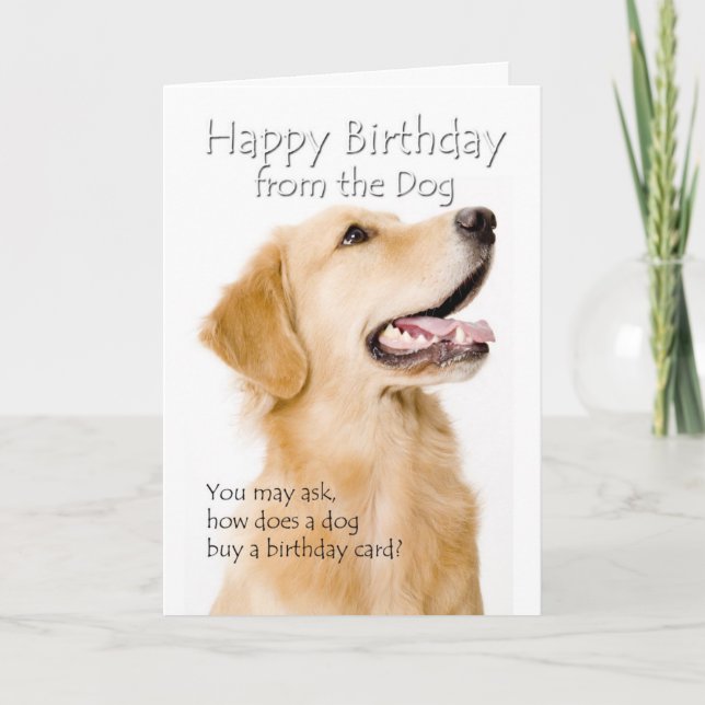 From the Golden Card (Front)