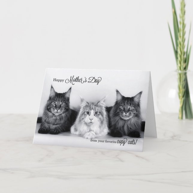 from the Pet Funny Mother's Day Three Tabby Cats Thank You Card (Front)