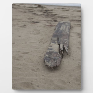 From the Sea Plaque