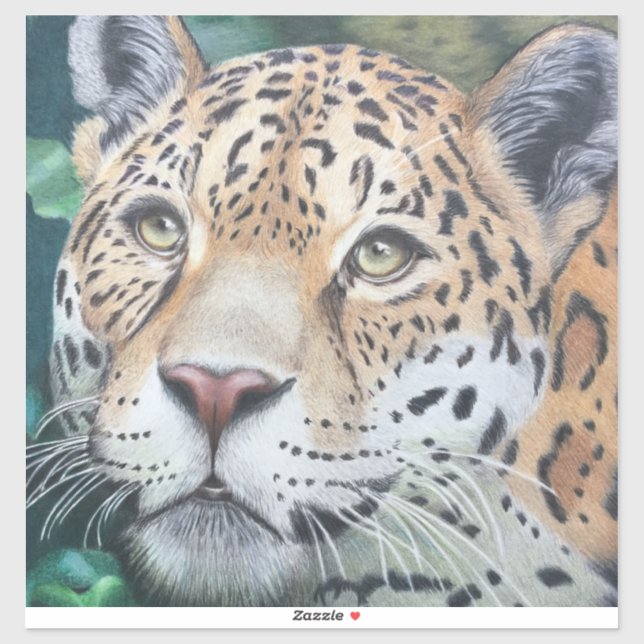 From the Shadows (Sheet)