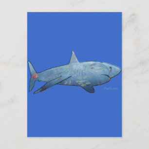 From the Sharks Collection Postcard
