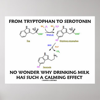 From Tryptophan To Serotonin (Chemistry Humor) Poster