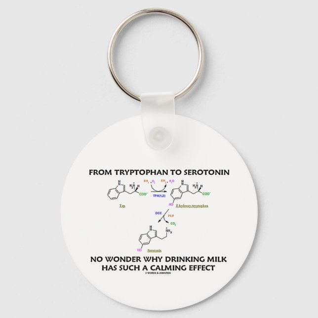 From Tryptophan To Serotonin (Chemistry Humour) Key Ring (Front)