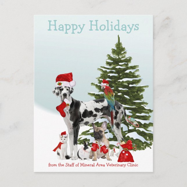 From Your Veterinarian Santa Pets Holiday Postcard (Front)