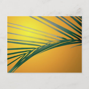 Frond at sunset postcard