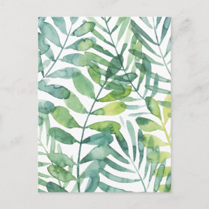 Frond Waltz - Palm Frond Leaves Postcard