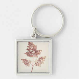 Fronds of Leaves, 1843 (b/w photo) Key Ring