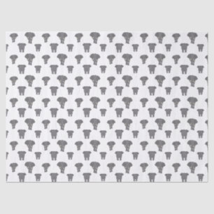 Front and Back Elephant Pattern Multi Colour Tissue Paper