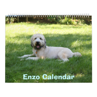 Front Cover, Enzo Calendar