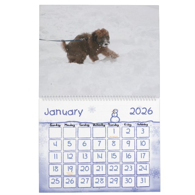 Front Cover, Enzo Calendar (Jan 2026)