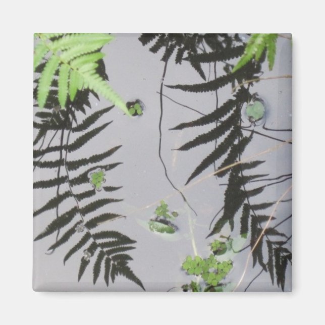 Front Reflections Magnet (Front)