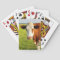 Front view Friesian cow