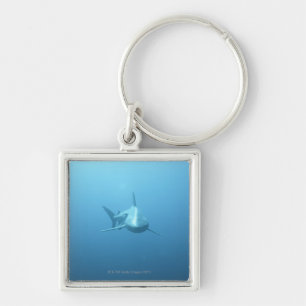 Front view of a Tiger Shark Key Ring