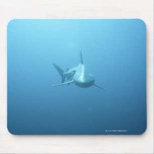 Front view of a Tiger Shark Mouse Mat