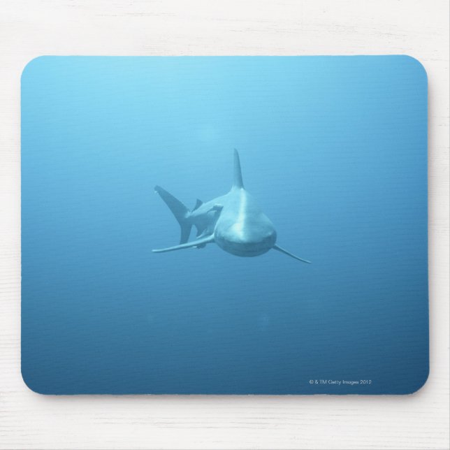 Front view of a Tiger Shark Mouse Mat (Front)