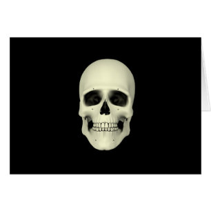 Front View Of Human Skull