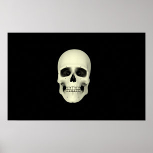 Front View Of Human Skull Poster