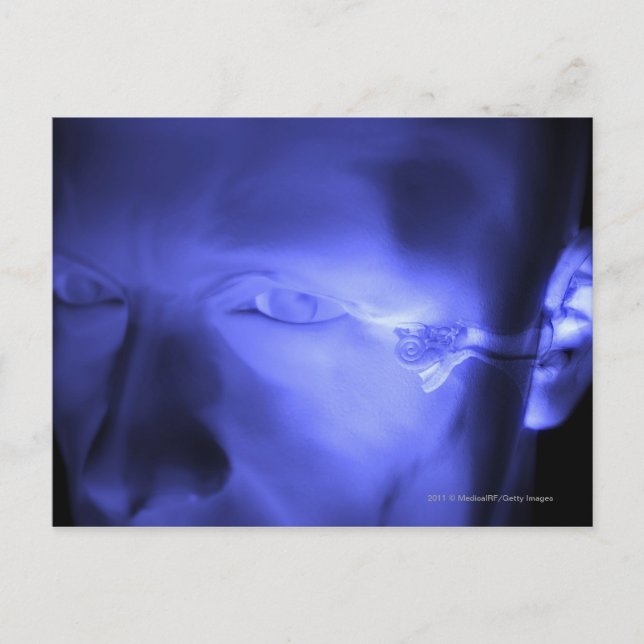Front view of the inner ear postcard (Front)