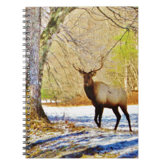> frontal Bull elk in Snow Notebook
