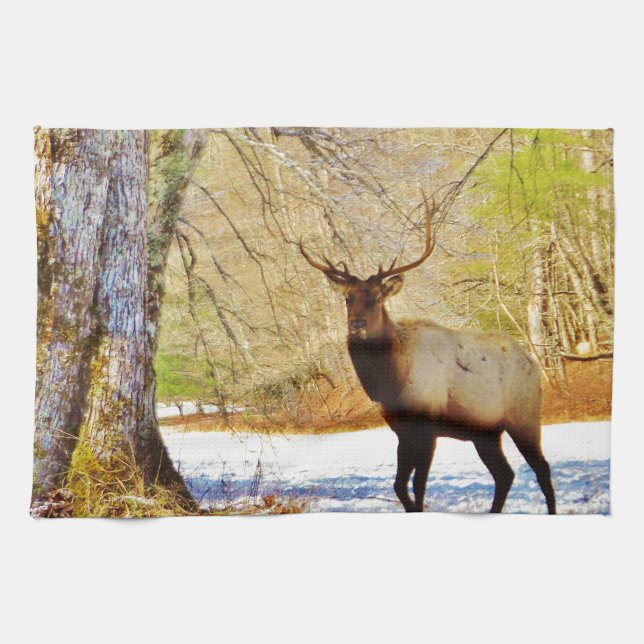 > frontal Bull elk in Snow Tea Towel (Horizontal)