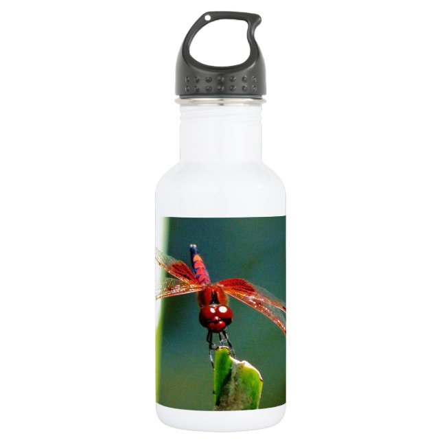 Frontal Red and Black Dragonfly 532 Ml Water Bottle (Front)