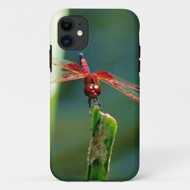 Frontal Red and Black Dragonfly Case-Mate iPhone Case (Back)