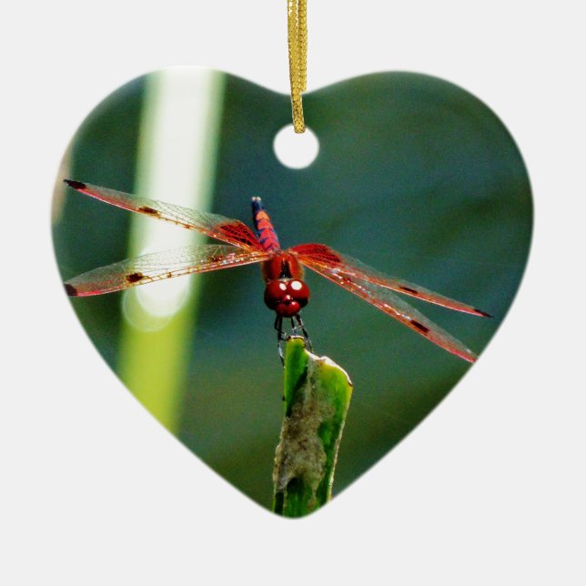 Frontal Red and Black Dragonfly Ceramic Tree Decoration (Front)