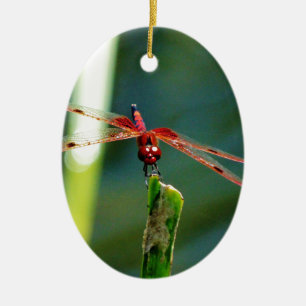 Frontal Red and Black Dragonfly Ceramic Tree Decoration