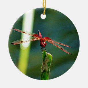 Frontal Red and Black Dragonfly Ceramic Tree Decoration
