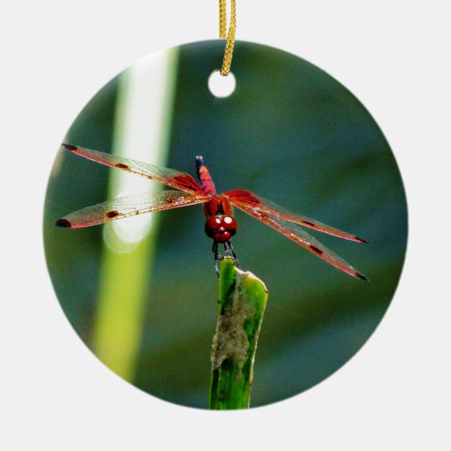 Frontal Red and Black Dragonfly Ceramic Tree Decoration (Front)