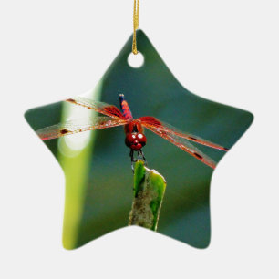 Frontal Red and Black Dragonfly Ceramic Tree Decoration