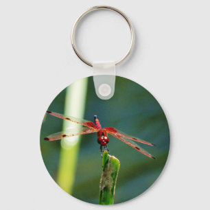 Frontal Red and Black Dragonfly Key Ring