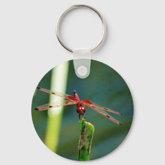 Frontal Red and Black Dragonfly Key Ring