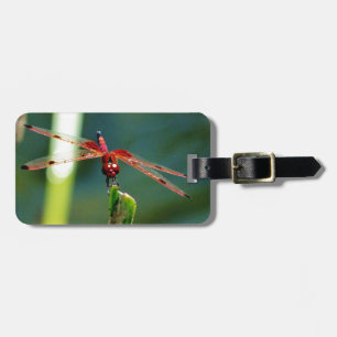 Frontal Red and Black Dragonfly Luggage Tag