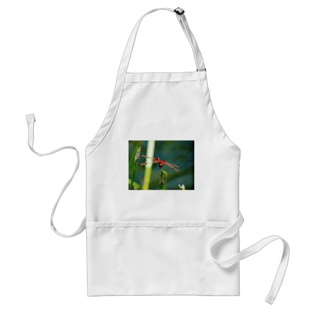 Frontal Red and Black Dragonfly Standard Apron (Front)