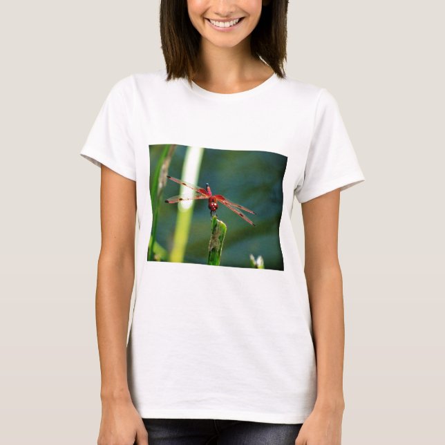 Frontal Red and Black Dragonfly T-Shirt (Front)