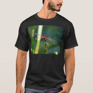 Frontal Red and Black Dragonfly T-Shirt